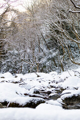 雪