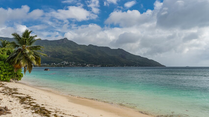 Dry algae are visible on the sandy beach. Palm trees and tropical bushes bent over the turquoise ocean. A green hill against the sky and clouds. Seychelles. Mahe.