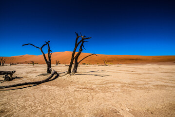 Soussouvlei desert in Namibia