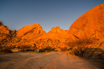 Sommertime safari in Namibia with lots of wild animals