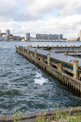 Fototapeta na wymiar old broken pier facility at the port of aalborg