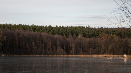 lake in the woods
