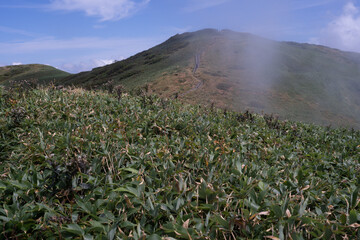 平標山　仙ノ倉山