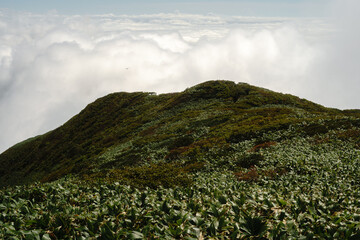 平標山　仙ノ倉山