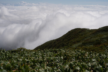 平標山　仙ノ倉山
