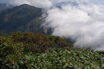 平標山　仙ノ倉山