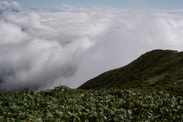 平標山　仙ノ倉山