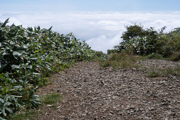 平標山　仙ノ倉山