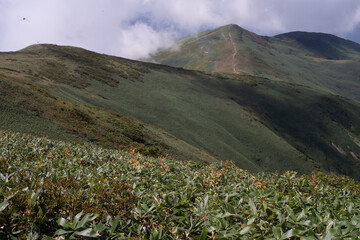 平標山　仙ノ倉山