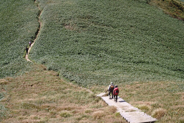 平標山　仙ノ倉山
