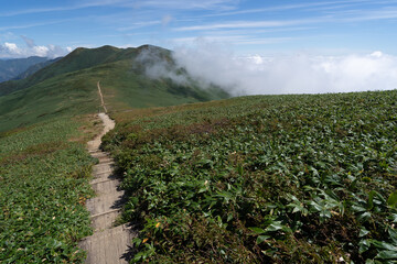 平標山登山