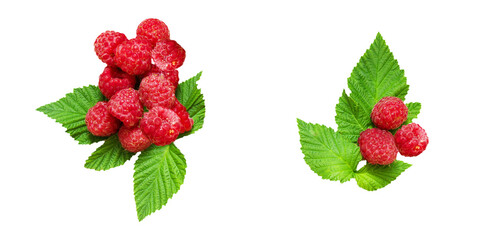 Fresh raw ripe red raspberry with green leaves closed up isolated on white