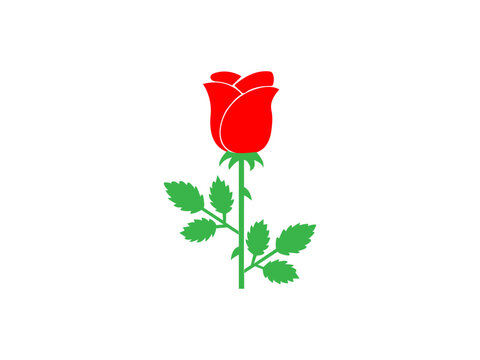 red rose vector design and clip art.