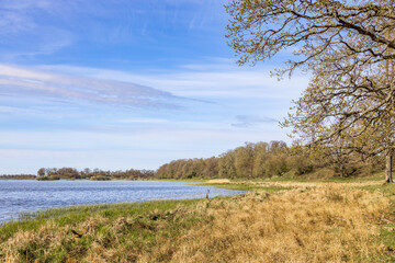 Lakeshore in a beautiful sunny landscape at spring