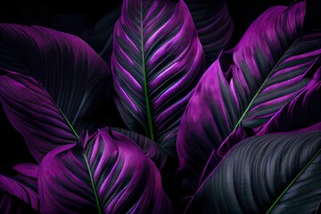 Purple Green Leaves Background
