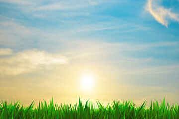 Fototapeta na wymiar a grass and sky background