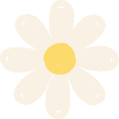 Hand drawn daisy illustration