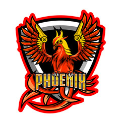 Phoenix Esport Mascot Logo Design