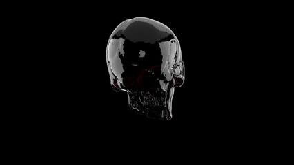 Glass skull - Powered by Adobe