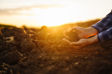 Expert hand of farmer checking soil health before growth a seed of vegetable or plant seedling. Business or ecology concept.