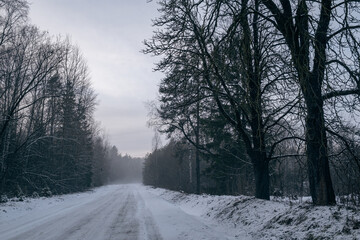 misty winter day, landscape with snow covered country road through forest