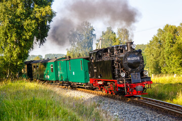 Fototapeta na wymiar Rasender Roland steam train locomotive railway in Serams, Germany