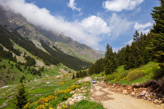 A beautiful landscape from the Elevit uplands of Rize in Black Sea region of Turkey. 