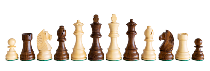 Dark and light wooden chess pieces isolated on white background