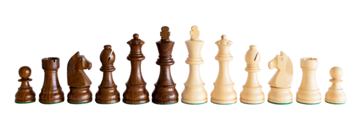 Black and white wooden chess pieces isolated on white background