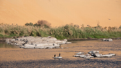 Views on the Nile river, Egypt