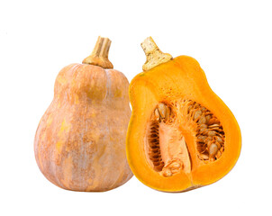 Butternut squash isolated on transparent png