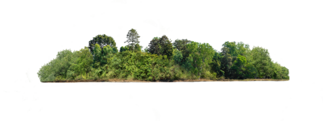 Group of tree. Green treeline isolated on white background.