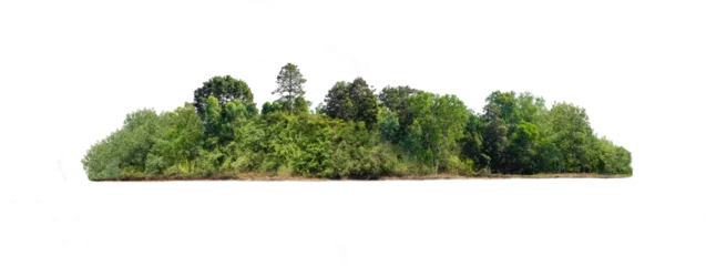 Foto op Plexiglas Group of tree. Green treeline isolated on white background. © Gan