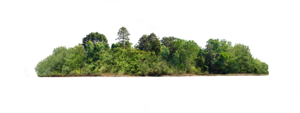 Group of tree. Green treeline isolated on white background.