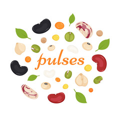 Mix of grain legumes on white background. World Pulses Day. Benefits of legumes, a source of protein and fiber. Vector illustration