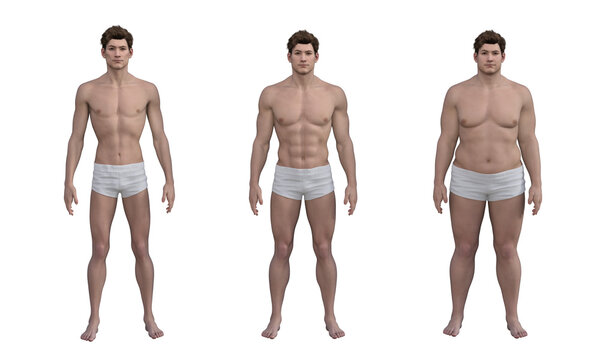 3D Render : the diversity of male body shape including  ectomorph (skinny type), mesomorph (muscular type), endomorph(heavy weight type), PNG transparent, front view