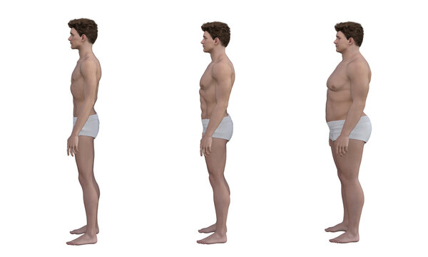 3D Render : the diversity of male body shape including  ectomorph (skinny type), mesomorph (muscular type), endomorph(heavy weight type), PNG transparent, side view