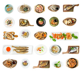 Dishes and snacks from meat and fish. Popular appetizing dishes. Collage, set. Top view. Square format. Isolated on white background.