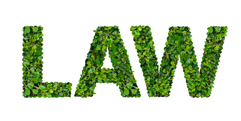 LAW text with green leaves on transparent background.