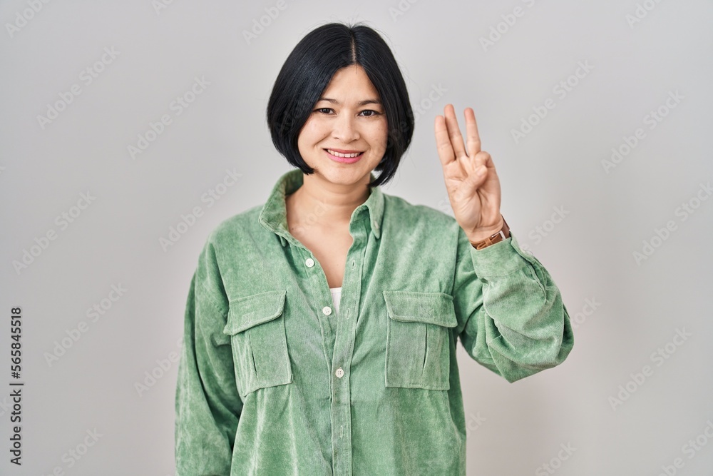 Poster young asian woman standing over white background showing and pointing up with fingers number three w