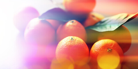Abstract background of tangerines with leaves. Citrus fruits on the table. Christmas fruit.