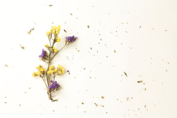 Beautiful purple and yellow dry flowers on the white background