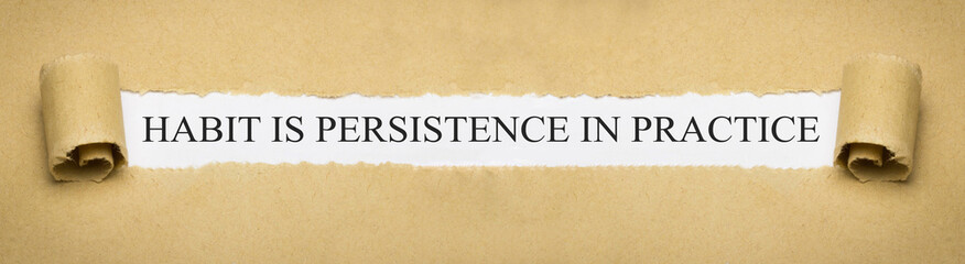 Habit is persistence in practice