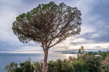 Fototapeta na wymiar Liguria