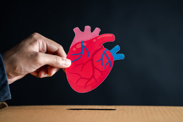 hands drop red heart to donation box. health care, organ donation, family life insurance, world...