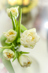 White tulips through the light prism. Romantic postcard