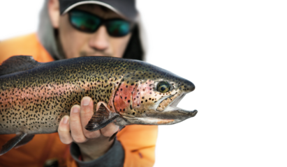 PNG transparent Fishing background. Fisherman and trophy Rainbow Trout.	