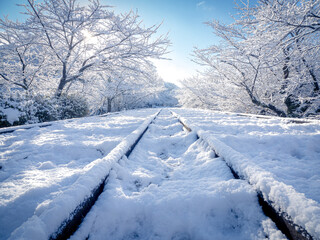 雪が積もる蹴上インクラインの絶景
