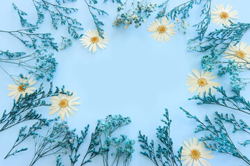 Fototapeta na wymiar Top view image of white and blue dry flowers over pastel background .Flat lay