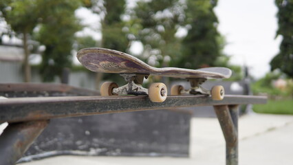 skateboard in the park.